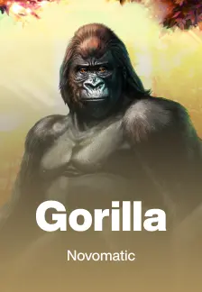 Gorilla